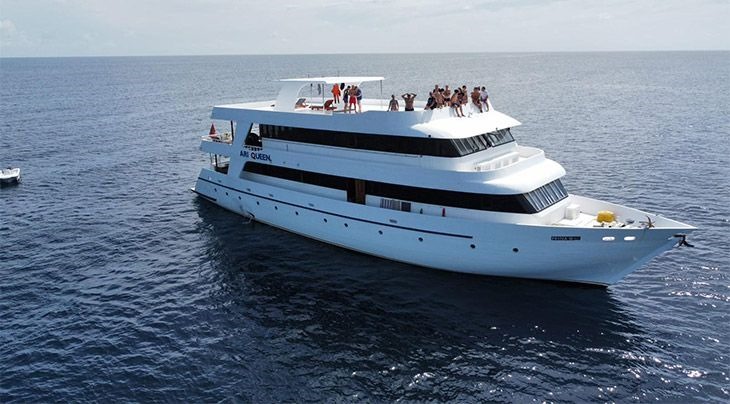 Ari Queen Maldives liveaboard trips