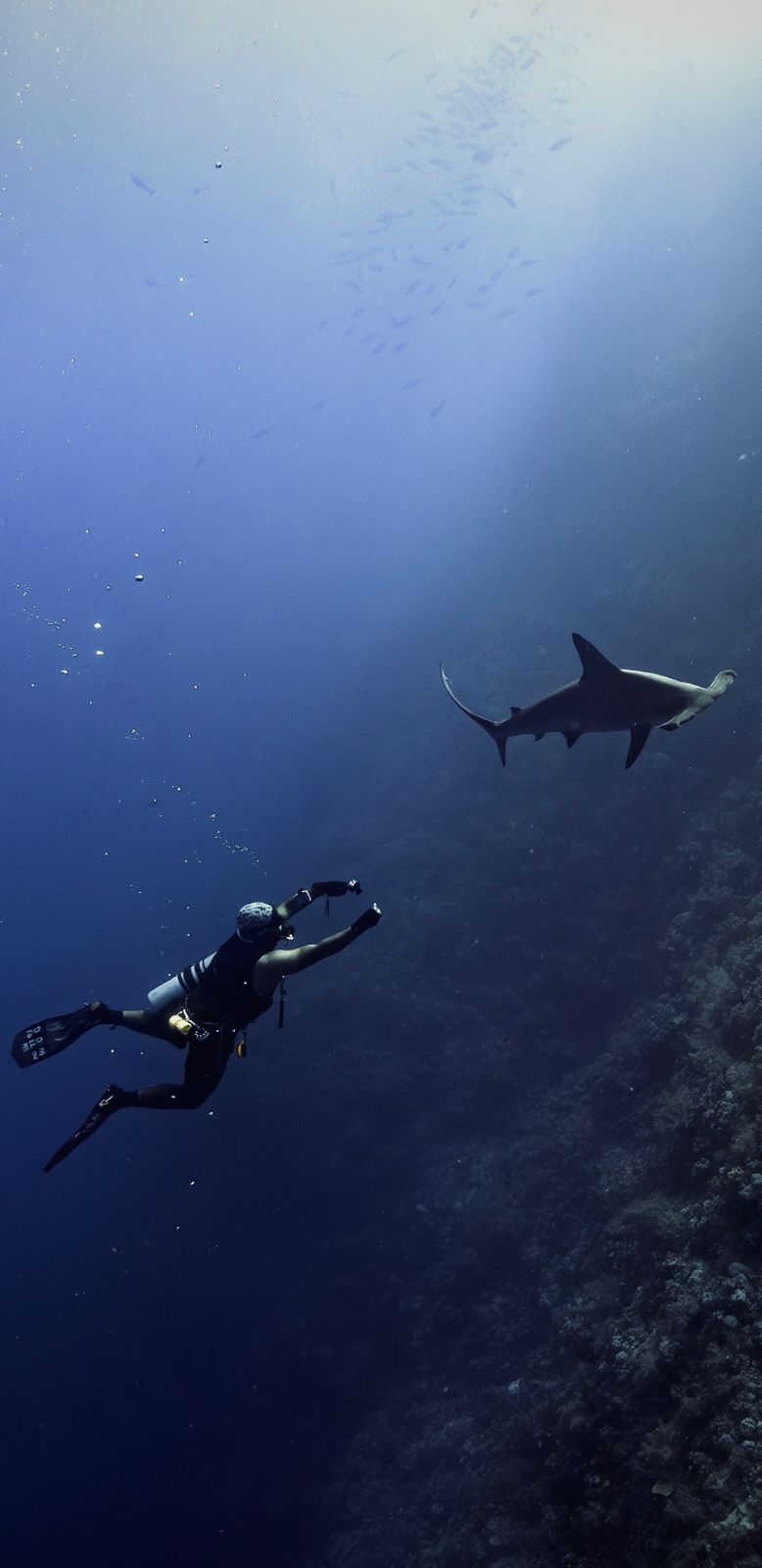 Nord_Brothers JPMarine itinerary wrecks and dolphins