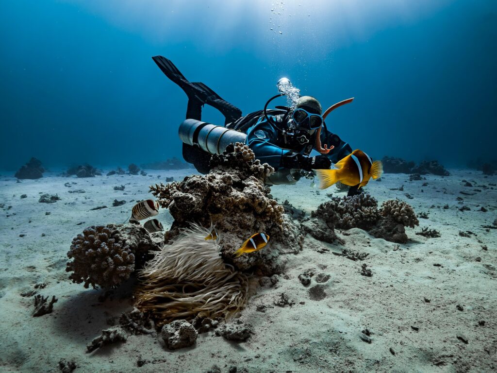 Divers with clown fish and corals in the Red Sea