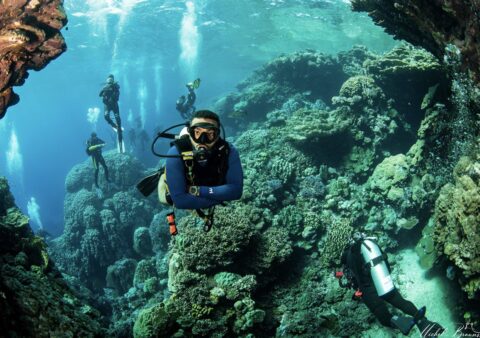 Photos by Michael Braunstein