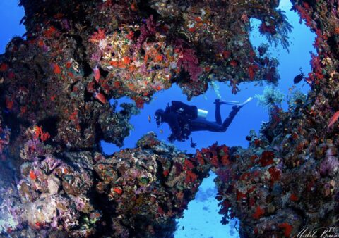 GOLDEN MIX itinerary JPMarine