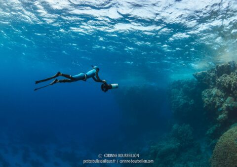 Itinéraire d’apnée en mer Rouge : Au plus profond