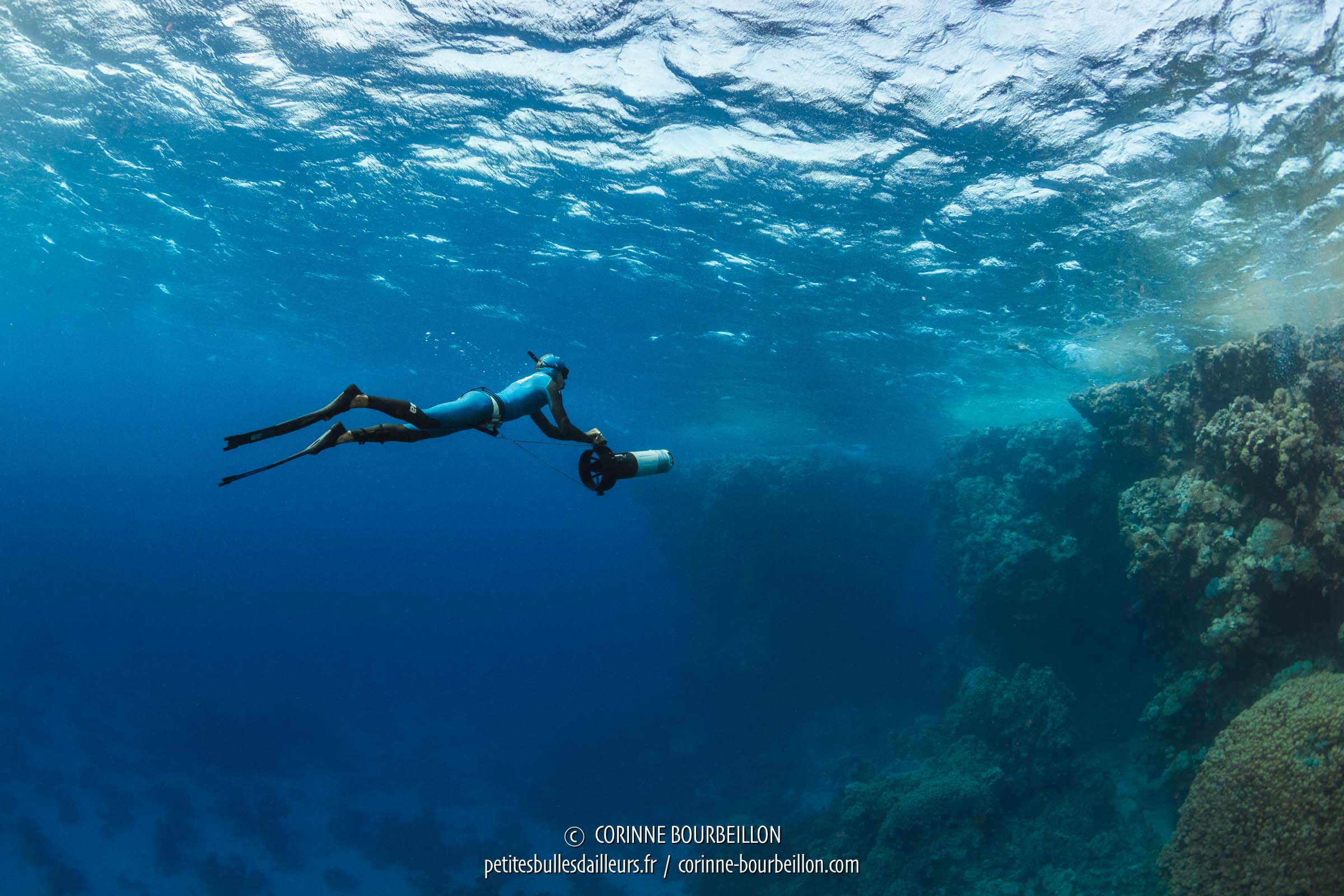 Freediving APNEA itinerary Red Sea: Deep Breath