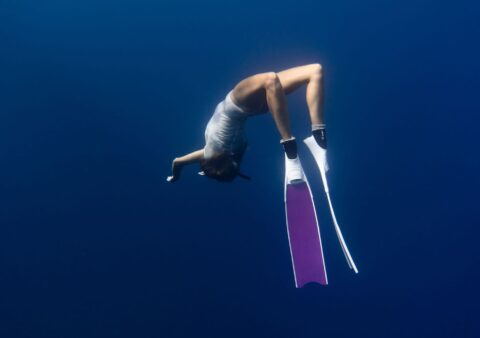 Red Sea Liveaboard Routes 2026 — DiveSafariMaster