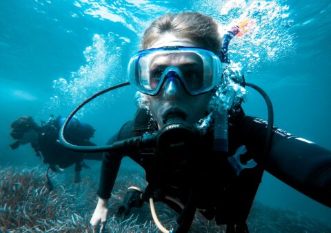 Wetsuit Thickness for Red Sea Liveaboard — Month by Month Guide