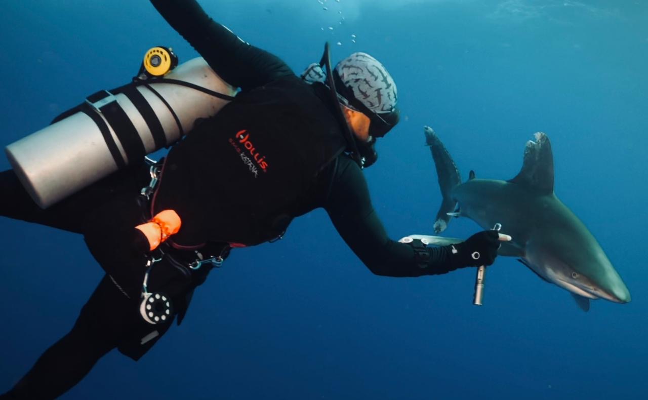 Diver with shark in the Red Sea