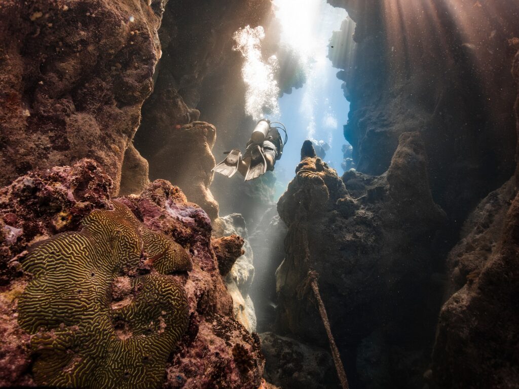 Divers in the corals in the Red Sea Egypt