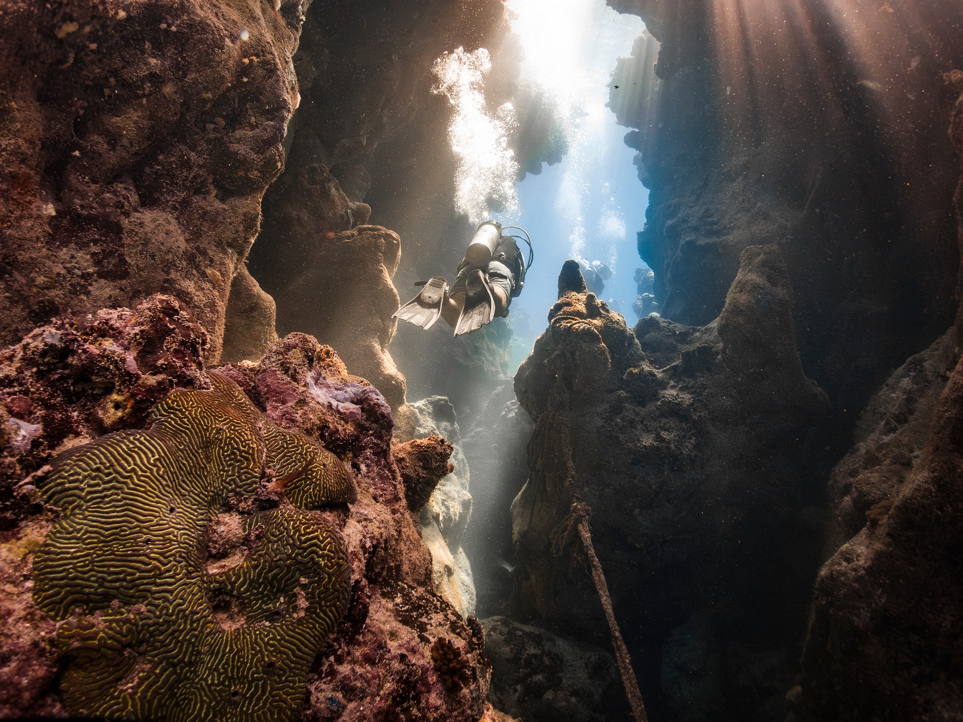 Coral reef Red Sea underwater photo by Franziska Stier aboard MY JPMarine liveaboard