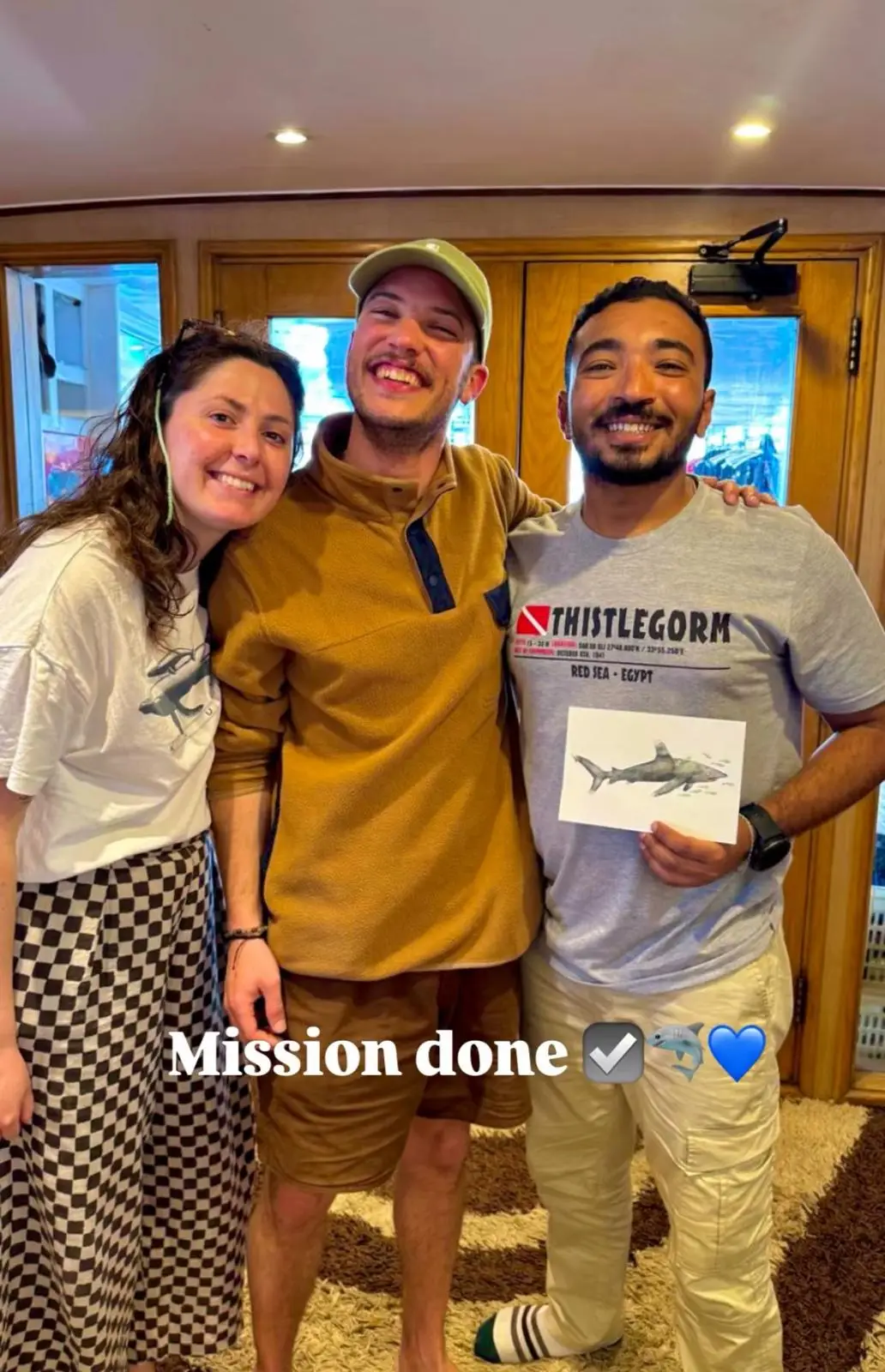 Hammerhead shark diving in the Red Sea Egypt at Daedalus Reef with liveaboard scuba divers