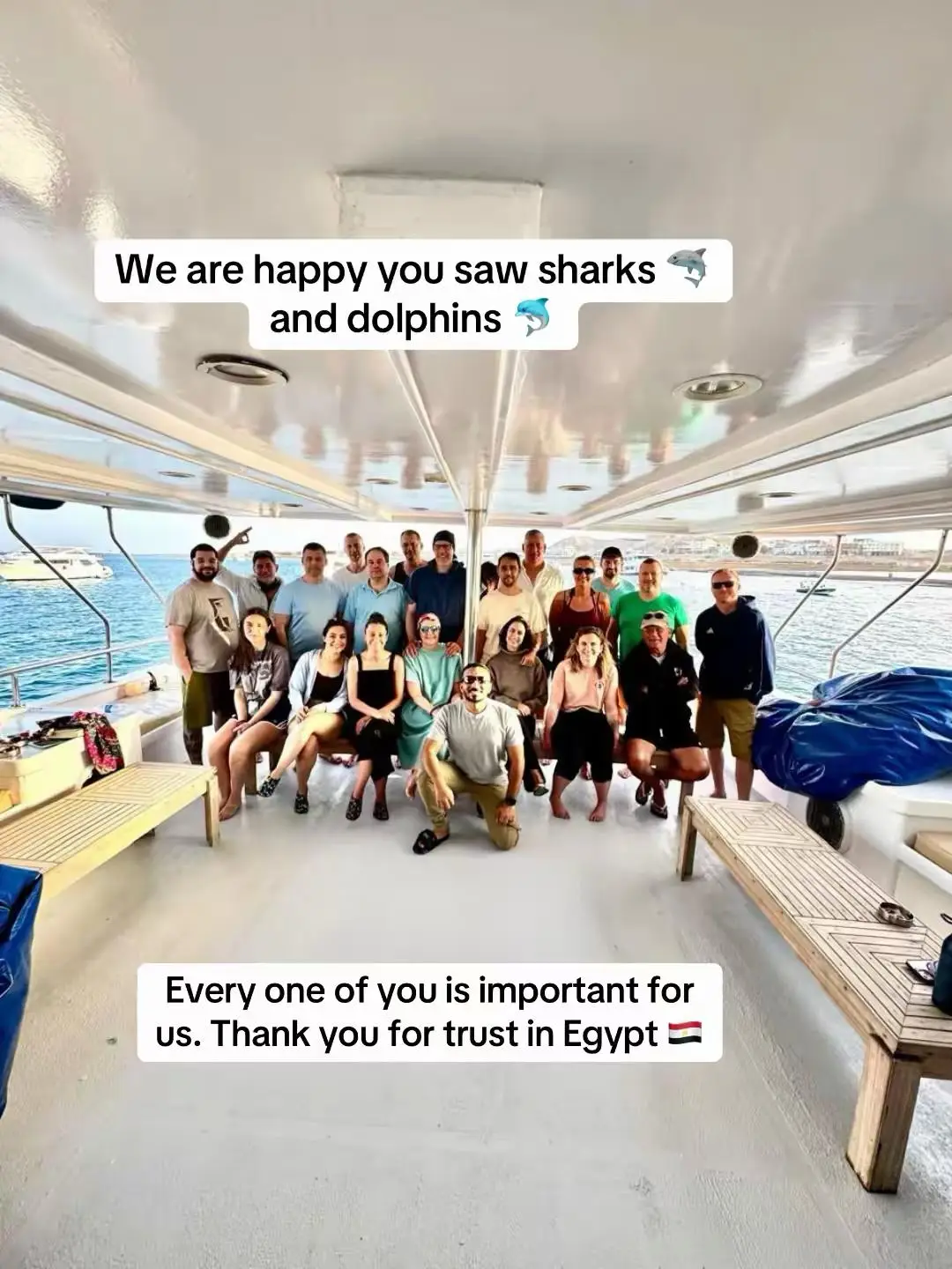 Hammerhead shark diving in the Red Sea Egypt at Daedalus Reef with liveaboard scuba divers