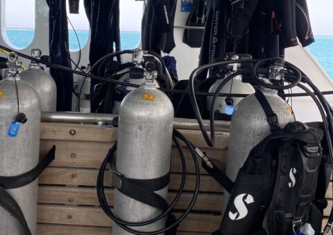 Red Sea Liveaboard Packing List — What to Bring, What to Leave at Home