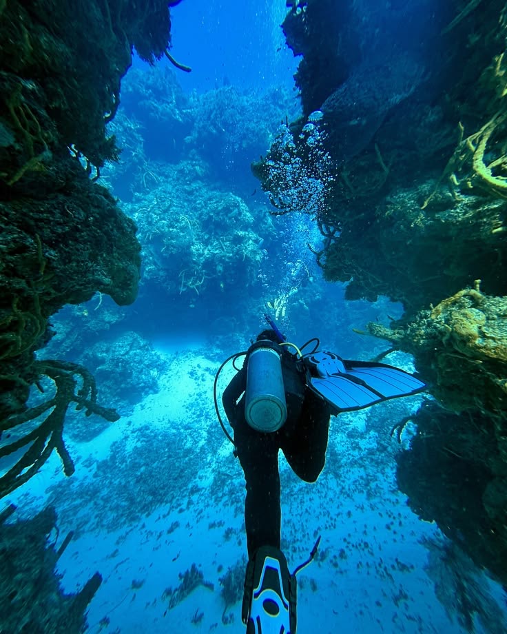 Visibilité en thermocline en profondeur lors d’une croisière plongée dans le sud de la mer Rouge
