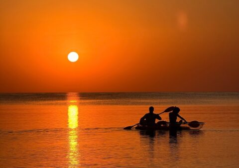 Is There Internet on Red Sea Liveaboards — What to Actually Expect Offshore