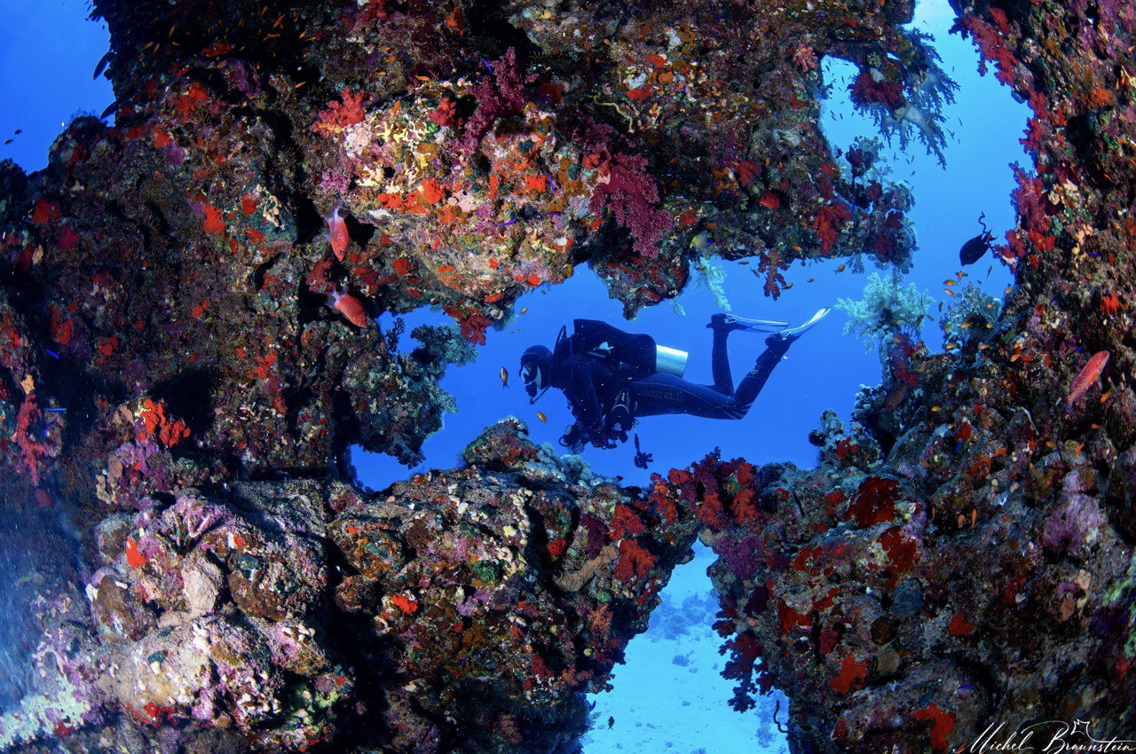 Plongeur descendant le long d’un tombant récifal en mer Rouge pendant une croisière plongée