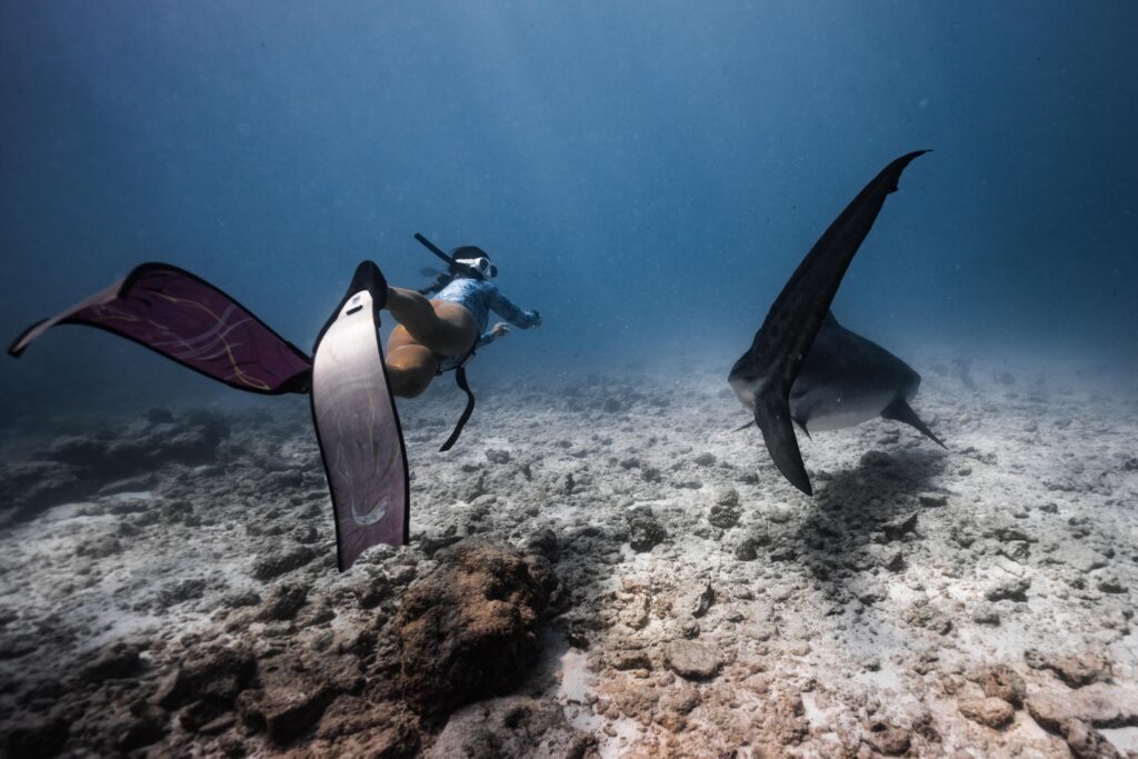 Snorkeling at Fuvahmulah, Maldives
